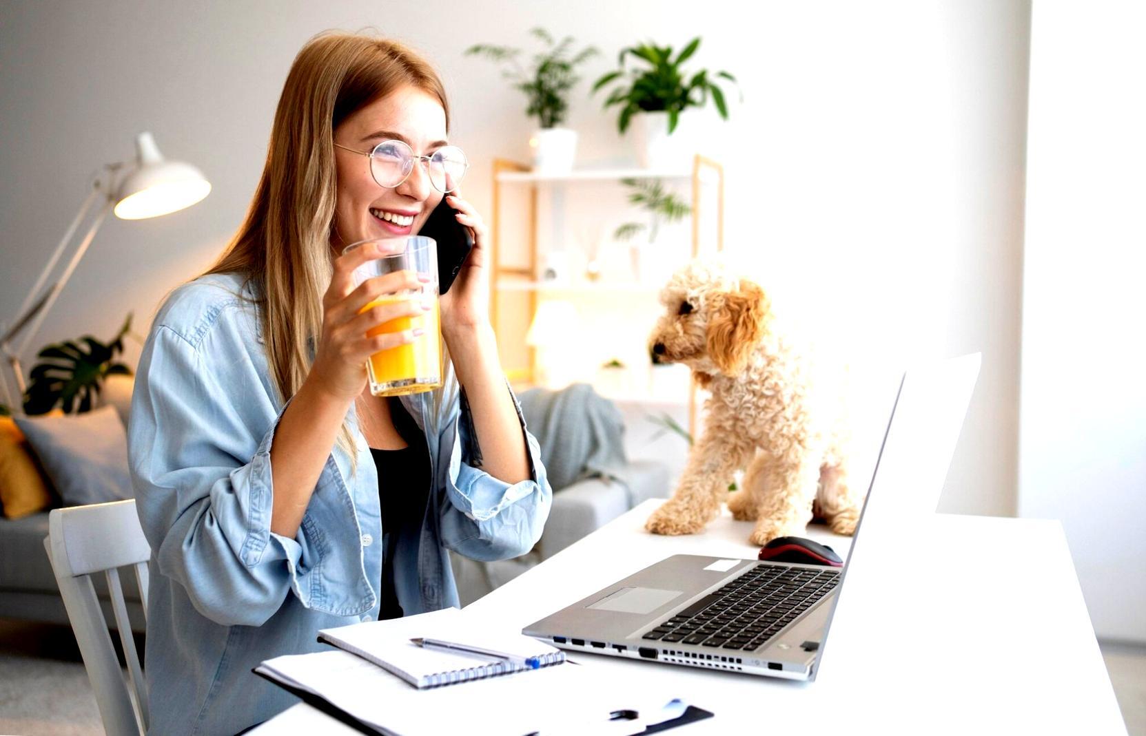 Análisis de arquitectura web y optimización de crawlability